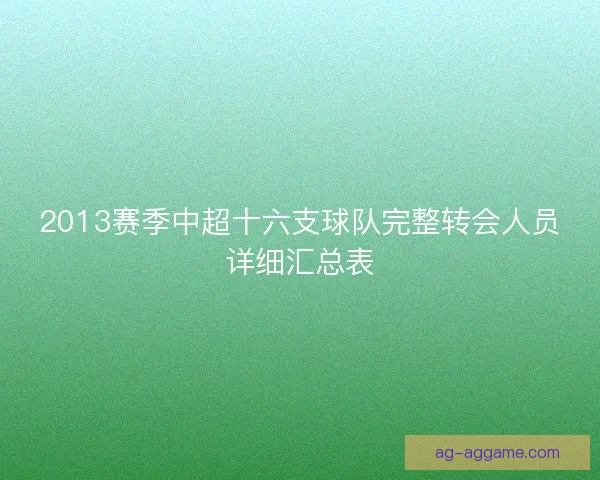 2013赛季中超十六支球队完整转会人员详细汇总表